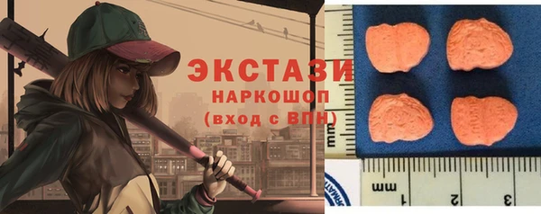 крисы Каменка