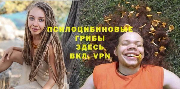 крисы Каменка