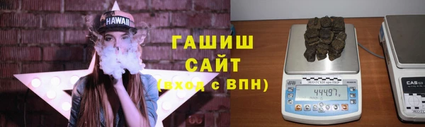 крисы Каменка