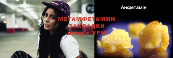 крисы Каменка