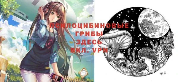 каннабис Каменногорск