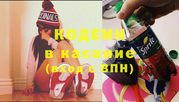 крисы Каменка
