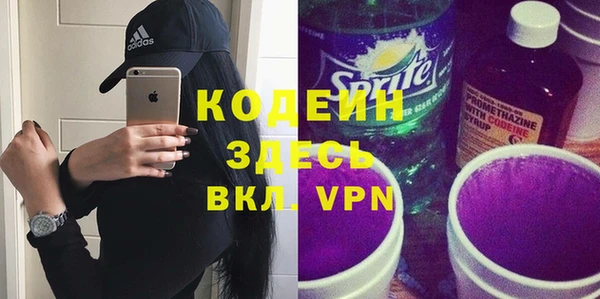 крисы Каменка