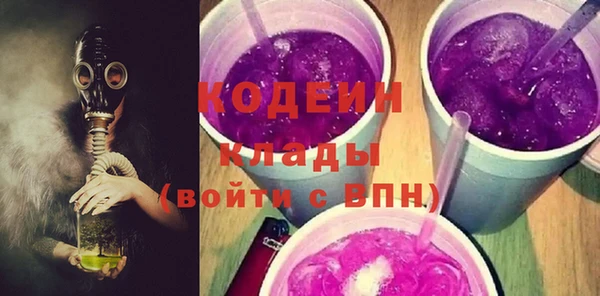 крисы Каменка