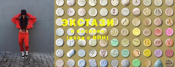 крисы Каменка