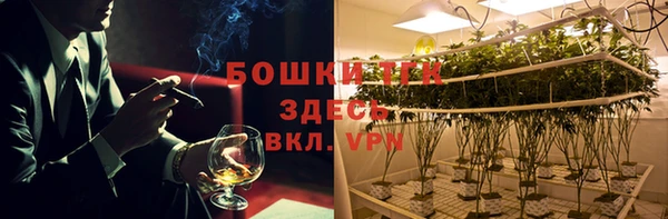 крисы Каменка