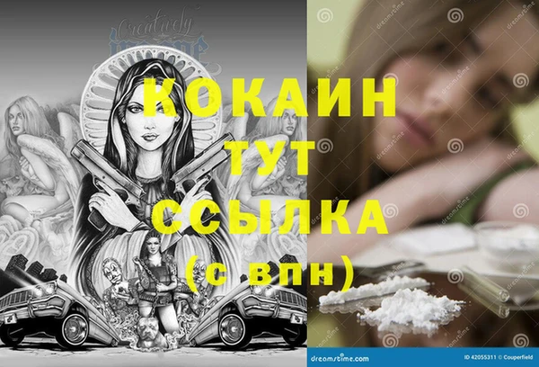 каннабис Каменногорск